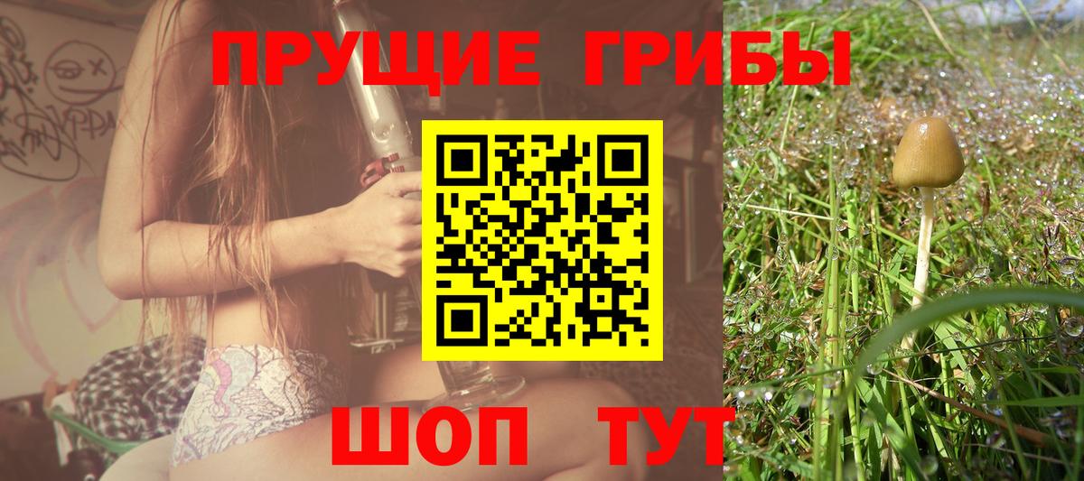 Вязьма  КОКАИН  Бошки Шишки  Меф кристаллы  Вход с VPN  Гашиш 